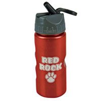 22 oz Metallic Tritan Sports Bottles With Flip Straw Lid